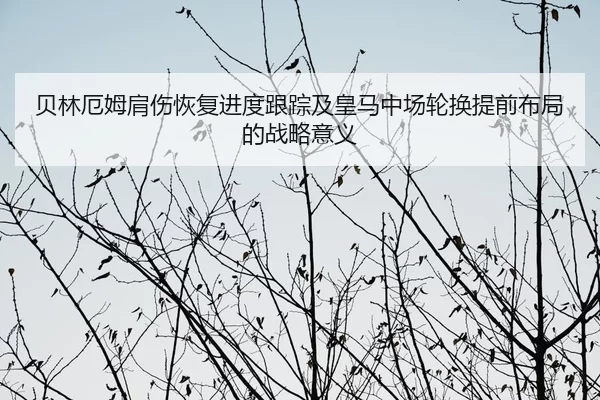 贝林厄姆肩伤恢复进度跟踪及皇马中场轮换提前布局的战略意义