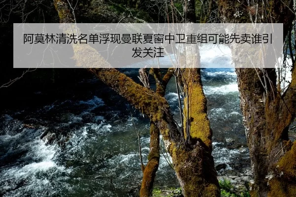 阿莫林清洗名单浮现曼联夏窗中卫重组可能先卖谁引发关注