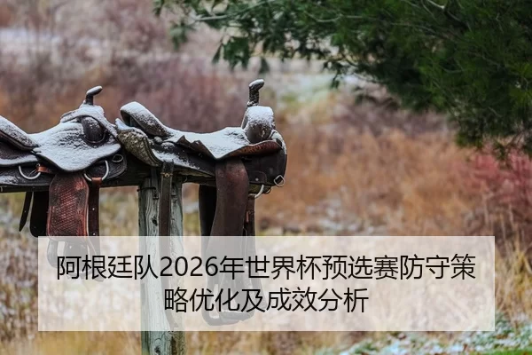 阿根廷队2026年世界杯预选赛防守策略优化及成效分析