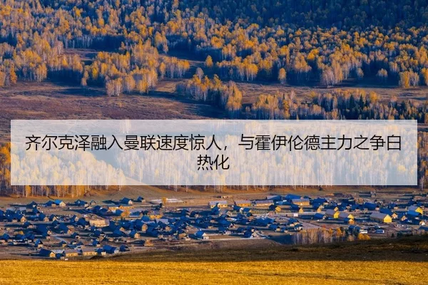 qi-er-ke-ze-rong-ru-man-lian-su-du-jing-ren-yu-huo-yi-lun-de-zhu-li-zhi-zheng-bai-re-hua-3-667.jpg