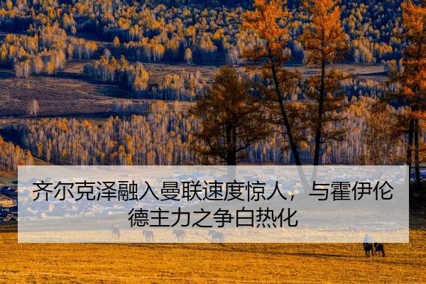 齐尔克泽融入曼联速度惊人，与霍伊伦德主力之争白热化