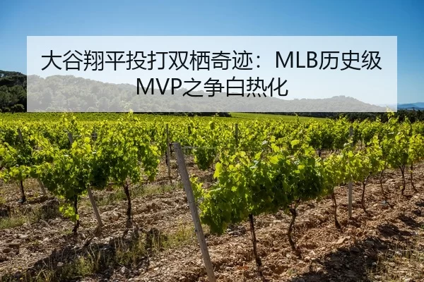 大谷翔平投打双栖奇迹：MLB历史级MVP之争白热化