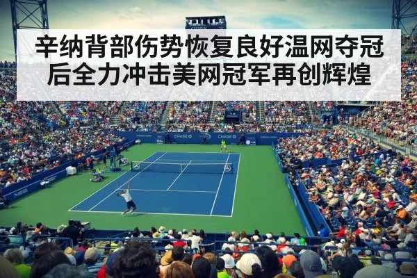 辛纳背部伤势恢复良好温网夺冠后全力冲击美网冠军再创辉煌