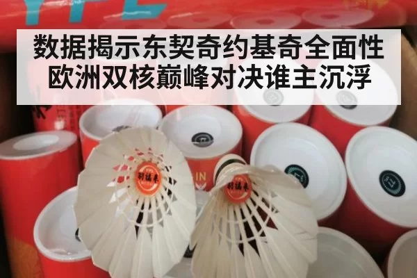 数据揭示东契奇约基奇全面性 欧洲双核巅峰对决谁主沉浮